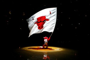 bulls-introductions