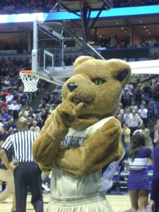 Roc Pitt Panther