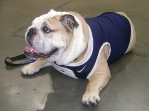 HINKLE-FIELDHOUSE-2