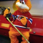 youppi- canadiens