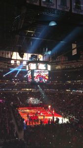 chicago bulls