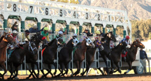 horse racing gate