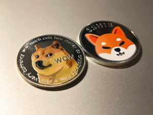 doge coin