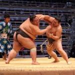 sumo wrestling